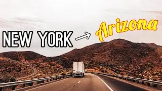 We Drove Across the Country for This?