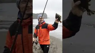Ловля камбалы на удочку в Тихом океане.