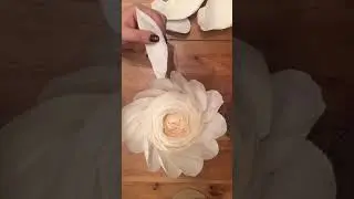 2 часть ПИОН НАСТЕННЫЙ. АВТОР NATASHA RUSH VK.COM/FLOWERSTORY5