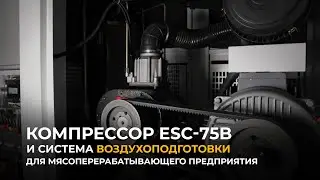 Компрессор ESC-75B и система воздухоподготовки