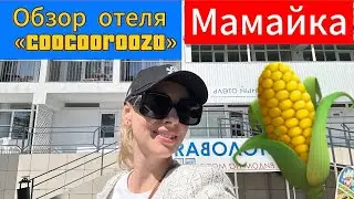 СОЧИ 2024// МАМАЙКА// ОБЗОР ОТЕЛЯ «COOCOOROOZA»// ЧТО СТОИТ ОЖИДАТЬ ОТ ОТЕЛЯ 2 ЗВЕЗДЫ?