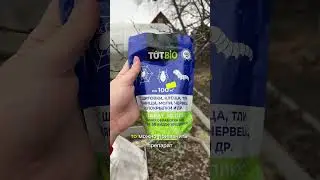 Обязательно сделайте это весной с вашей смородиной! 