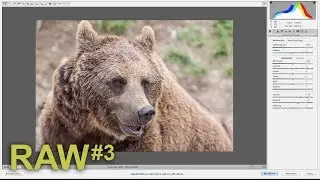 Bereichsreparatur im RAW-Konverter (Makel entfernen Pinsel; RAW Teil 3)