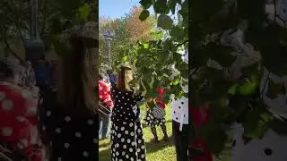 Honk Fest 2022