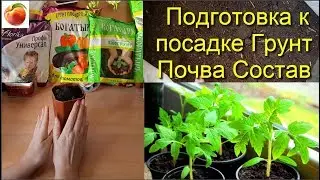 Готовим Грунт  Рассада Важно сеем рассаду  Состав и обработка земли Богатырь Сезон 2022