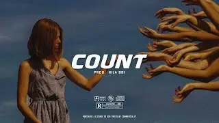 Amapiano Instrumental 2024 Rema ft Asake Type Beat "COUNT" Amapiano Type Beat