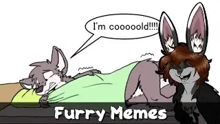 Furry Memes - Furry struggles