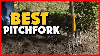 ✅Top 5 Best Pitchfork in 2024