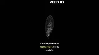 Человеческий мозг