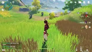 genshin impact co op