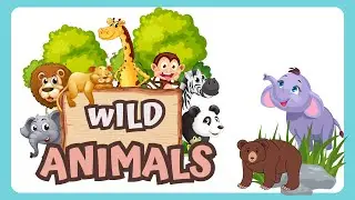 100 Wild Animals Name | Name of 100 Wild Animal | Animals Name For Children