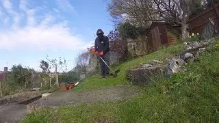 Mowing Strimming And Edging Little Lawns