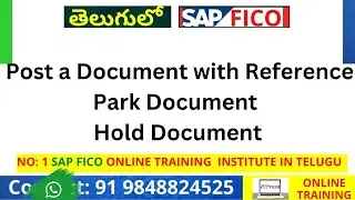 How to Post a Document with Reference in SAP FICO - SAP FI Park Document and Hold Document