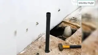 Удивительное преображение ванной комнаты до неузнаваемости