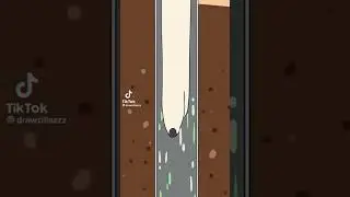 борзая достаёт чипсы