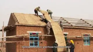 बिल्डिंग इन्सुलेशन सामग्री मशीनरी / भूसे प्रसंस्करण मशीनरी और उपकरण / मशीन ईख मैट