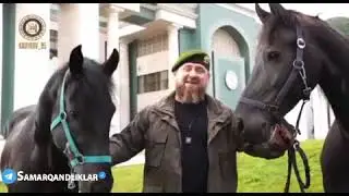 РАМЗАН КАДИРОВ ПРЕЗИДЕНТ ШАВКАТ МИРИЁЕВНИ ТУГИЛГАН КУНИГА 200 МИНГ $$ ЛИК ОТЛАРНИ ПАДАРКА КИЛДИ
