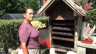 Vrijeme je za sušenje voća: Munira je objasnila postupak sušenja šljive