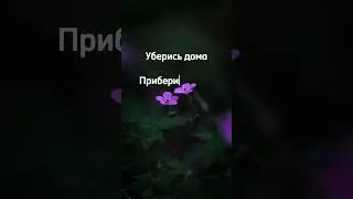 Приберись, әлде Уберись? 