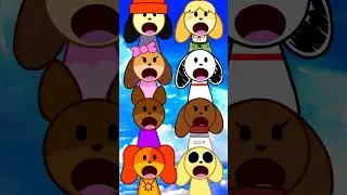 Dogs 🐶 #dog