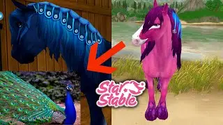 ПОКУПКА ЛОШАДИ ДОРХА и СОЛАС/НОВАЯ ПОРОДА В Star Stable Online.ЛОШАДИ ПАВЛИНЫ/SSO.ВОЛШЕБНЫЕ ЛОШАДИ