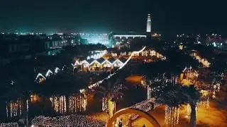 طلعة شتوية