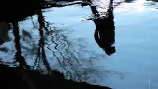 ryvulet ____  Part I: ropes in a river