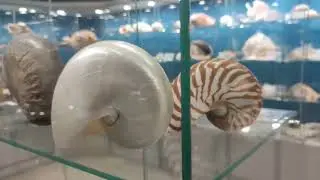Выставка 