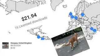 Foto Kucing Sederhana Laku di Shutterstock