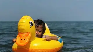 Liburan ke Hutang Mangrove Pantai Duta