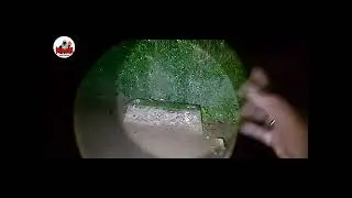 🌕 PENCARIAN MAKAM LELUHUR KEBONDALEM DI PEMAKAMAN WARU#youtuber#youtube