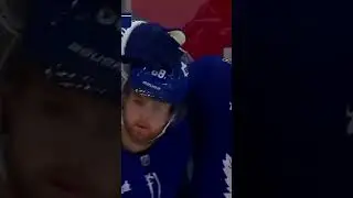 Willy Wrister Toronto Maple Leafs  
