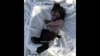 Baby Krampus Silicone Doll Angels by Noemi Reborn dolls