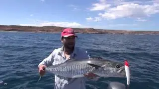 How to catch spanish (king) mackerel, The average angler fishing adventures