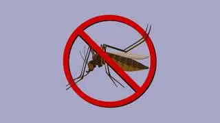 Boluwatife Aderounmu Dengue Fever What to know