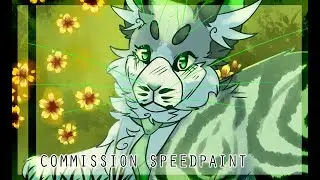 [commission speedpaint] snow chrysanthemum