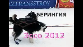 Поющие собачки * Старт * Индейские танцы | Берингия 2012 в Эссо