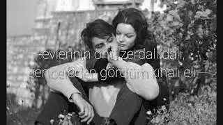 -evlerinin önü zerdali dalı