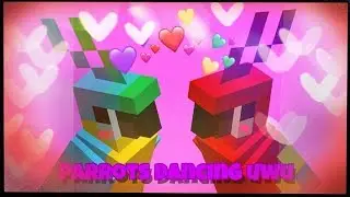Minecraft  Wholesome Parrots Dancing uwu