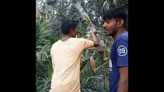 বাস কাটতে গিয়ে যা হলো || হাসতে হাসতে পেট পেটে  জাবে ||