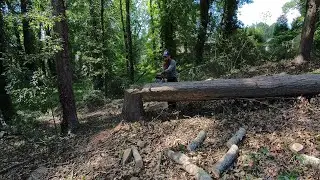 Firewood Cutting with Stihl MS271 and Fiskars Maul // Part 2