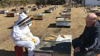 Beekeeping Crash Course:  New Bees and a Newbie