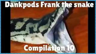 Dankpods frank the snake compilation 10