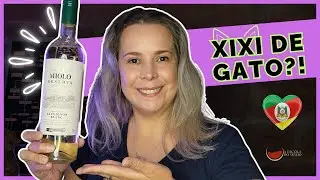 VINHO MIOLO RESERVA SAUVIGNON BLANC: Típico ou Comum? | Vinho Gaúcho do Mês