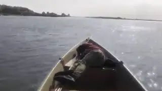 Прикол. Поймал на рыбалке поросёнка подсакой!