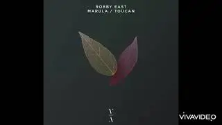 Robby East - Toucan [This Never Happened 158E]
