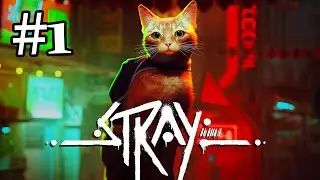 Stray ➤ Первый Взгляд на игру