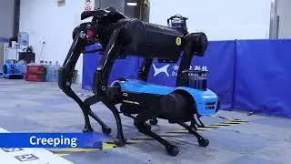 The quadruped robot Jueying Mini