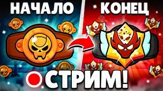 ПУШ С БРОНЗЫ ДО МАСТЕРА! 😨 СТРИМ БРАВЛ СТАРС 🏆