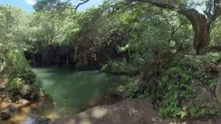 VR Blyde River trip - Photos of Africa @livestreamnature @PhotosofAfrica @360ImageFilm.